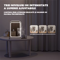 Mini Frigider pentru Cosmetice, functie de Racire si Incalzire, capacitate 4 litri